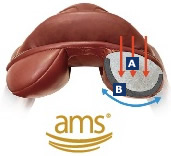 ams